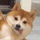 头文字Dda · 雅阁车主·车龄2年头像
