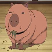 ZzzCcc2019的个人资料头像