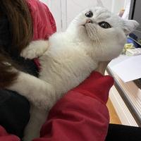 芒仔和悠宝头像