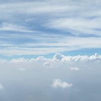 君子兰90392头像