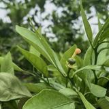 一路春风伴我行头像