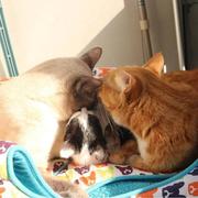 娜娜51的个人资料头像