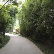 ForstDra的个人资料头像