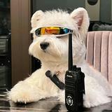 用户8022368190731头像