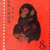 极速柑桔vh头像
