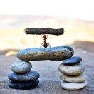 呐喊爱学习的个人资料头像