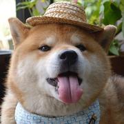 Polaris795的个人资料头像