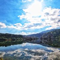 奋斗中的小炎炎头像