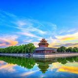 畅游大海423头像