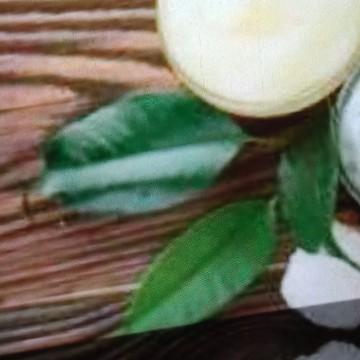 美洋优阅生活头像