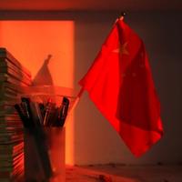 又见鱼Q头像