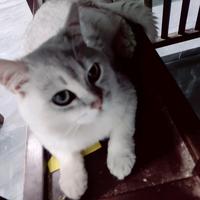 智者轮船RhM头像