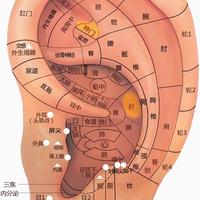 有腰间盘也突出头像