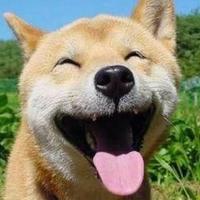 轻点拍皮球头像