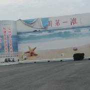 佐徳将军的个人资料头像