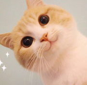 周鹭燕zzzluyan的个人资料头像