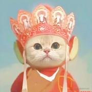 姑娘小手冰凉的个人资料头像