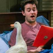 Komorebi38的个人资料头像