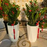 福建奔奔奔头像