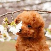 Ann207的个人资料头像