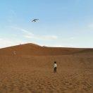 hailong_的个人资料头像