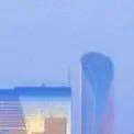 晓松415头像