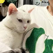 AnInteger的个人资料头像