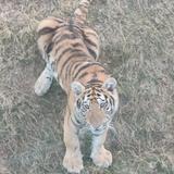 徐3407397078430头像