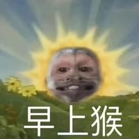 论母猪的饲养头像
