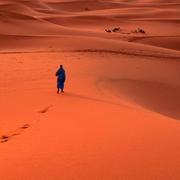 Nicholas280的个人资料头像