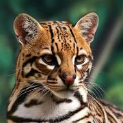 又一个四季在轮回的个人资料头像