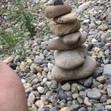 人来疯头像
