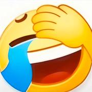 第贰枝羽毛的个人资料头像