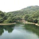 Van就是我的个人资料头像