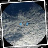 骑兔戏嫦娥头像