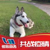 用户1958784198999头像