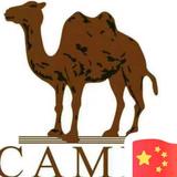 骆驼🐫头像