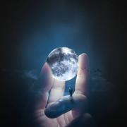 廖廖廖春淼的个人资料头像