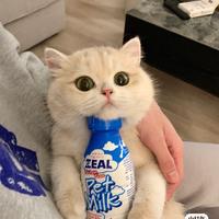 用户9630753631415头像