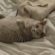 你的鼻子为啥会变长的个人资料头像