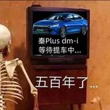 比亚迪的小白鼠007号头像