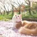 eric_cartman的个人资料头像