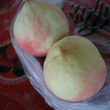 李保证头像
