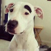 用户3955767800697头像