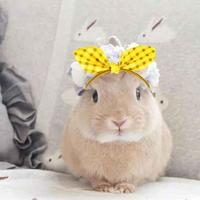 创造一个新的高度头像