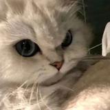 用户7815576918019头像