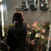 克林227的个人资料头像