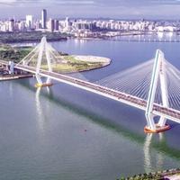 亲切菠萝l1头像