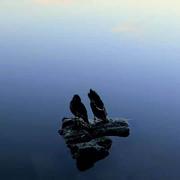 用户2312552865905的个人资料头像