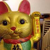 goodmorning523头像